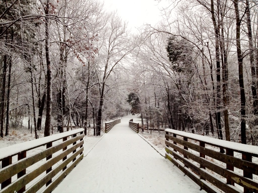 Early morning on the Matthew Henson Trail in January 2014.