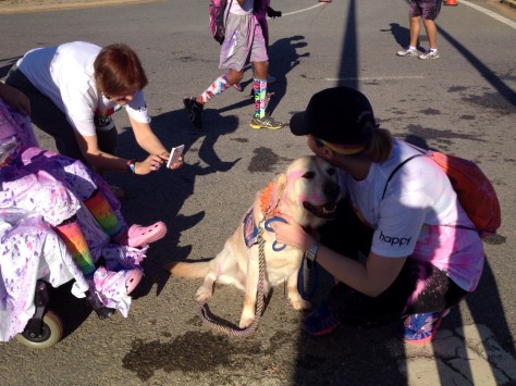 A colored dog! So cute!