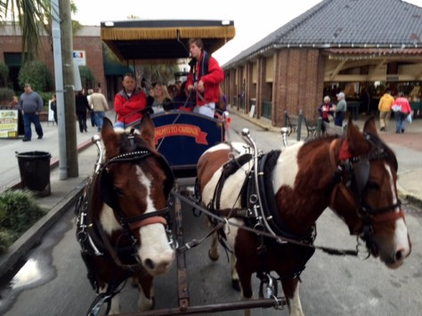 Took a carriage ride through downtown and historic Charleston. 