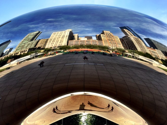 Obligatory bean photo