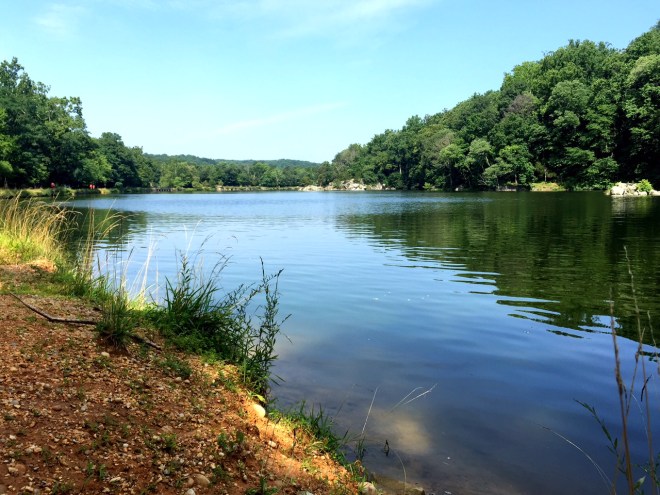 Awesome sunshine in the second half of my run.