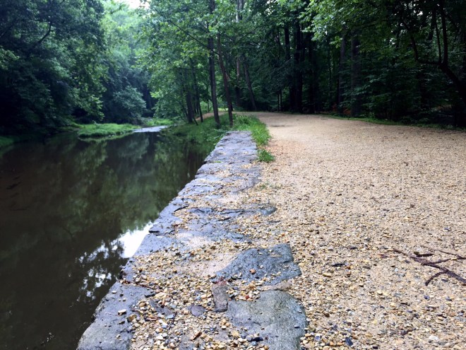 Rain stopped. Sun is try to peek out.