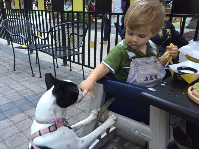 Mmm... nothing like honey mustard after 4 long miles on the C&O Canal trail.