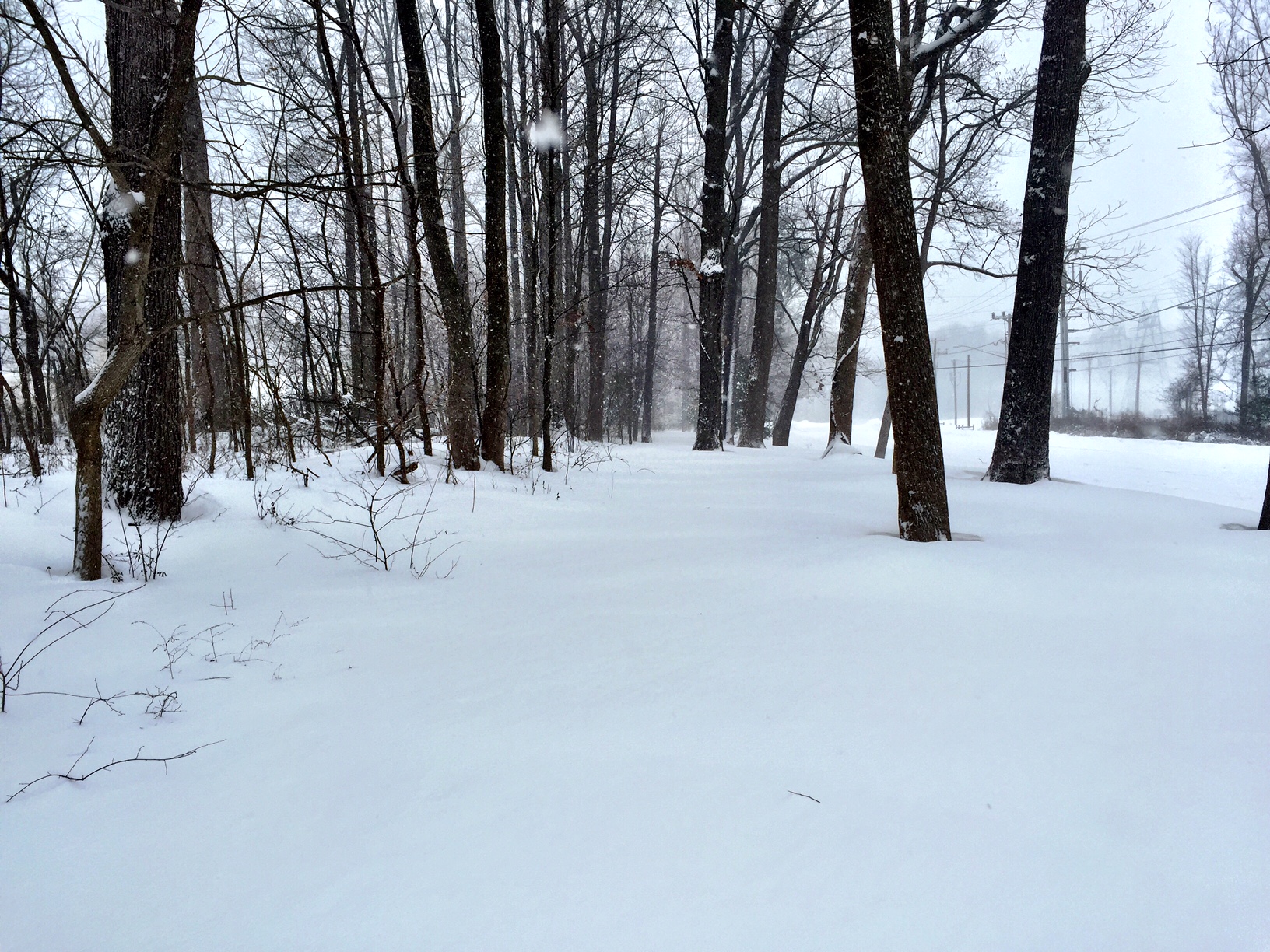This is the trail I normally run on. The snow came up to my knees.
