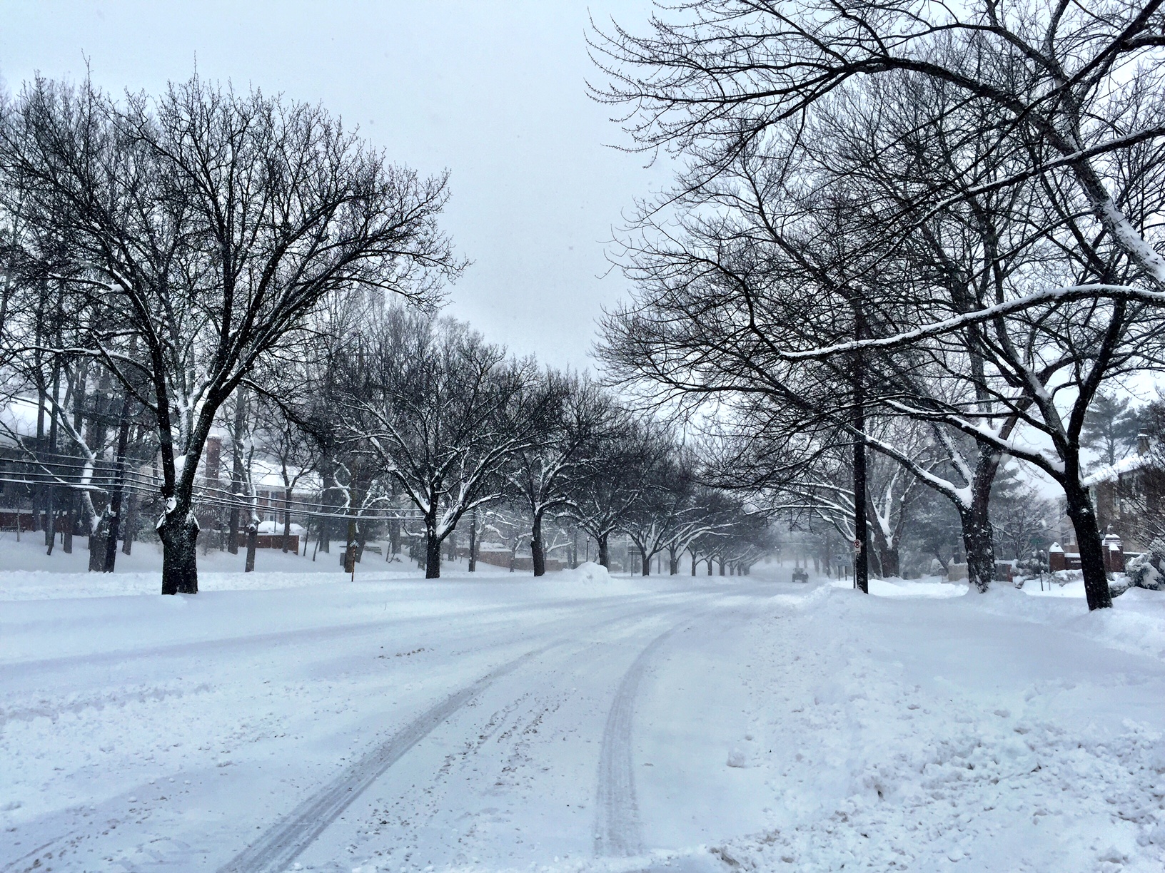 One of my favorite photos from this morning. Just the snow plowers and me.