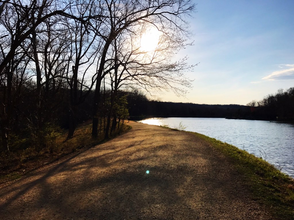 Training for Flying Pig Half Marathon and 2017 race schedule&nbsp;updates